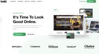 Bold Web Design image 2